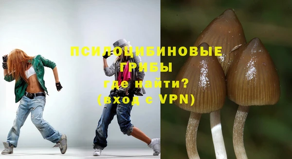 спиды Майский