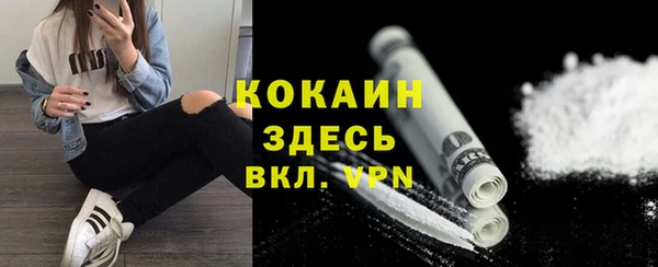 спиды Магас