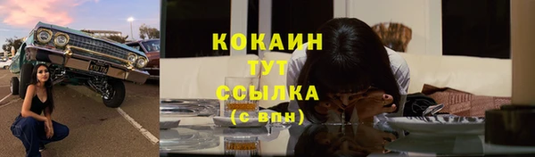 спиды Магас