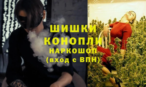 спиды Магас