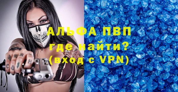 спиды Магас