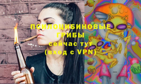 спиды Магас