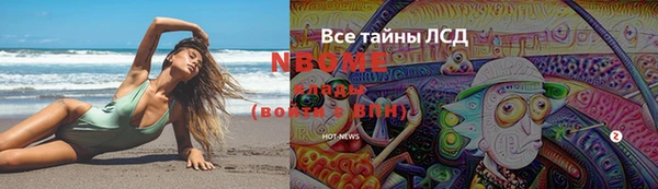 молекула духа Магадан