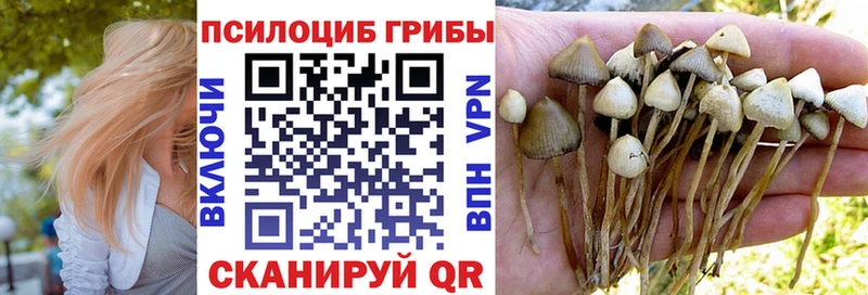 Псилоцибиновые грибы Cubensis  Купить закладки  Нытва 